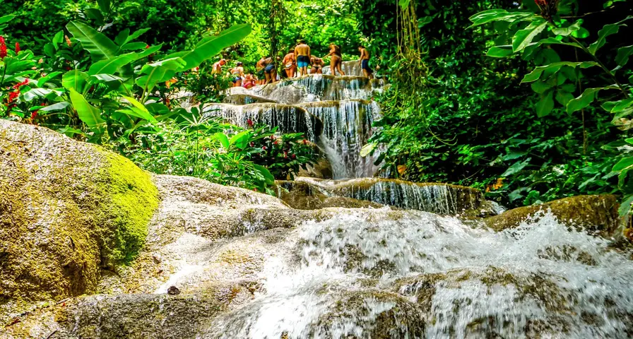 5. Experience Wildlife and Nature at Konoko Falls and Mini Zoo