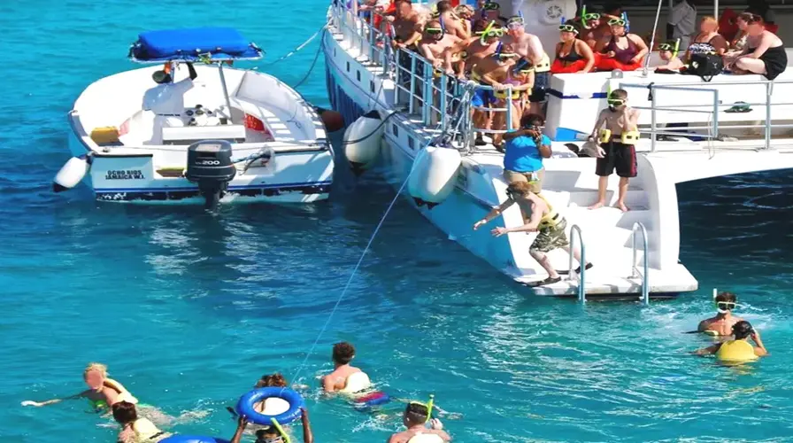 9. Party Onboard During Special Events and Customized Cruises