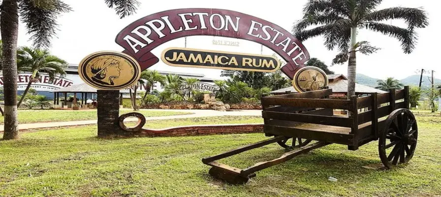 14. Take a Day Trip to Appleton Estate Rum Tour