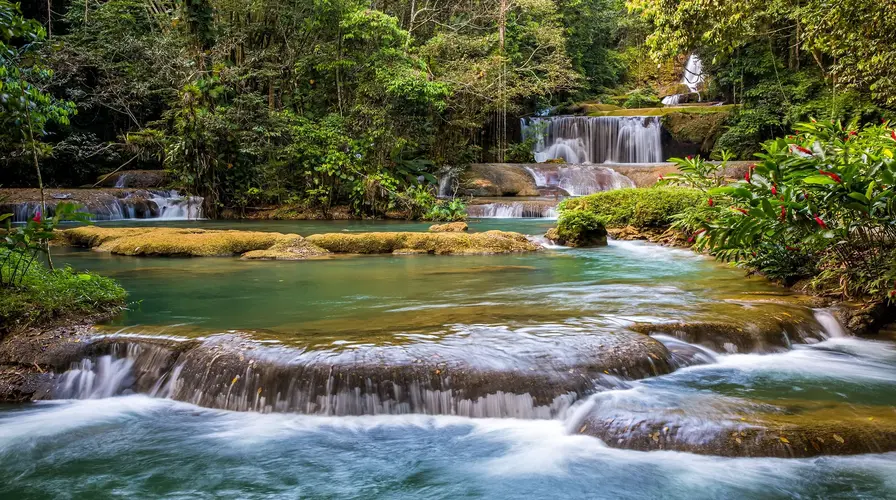 4. Explore Mayfield Falls and Surrounding Nature