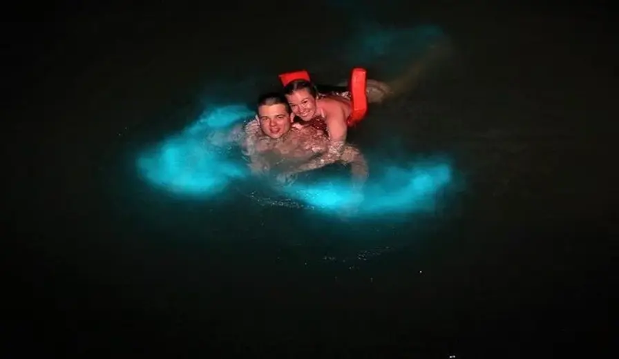 4. Swim in the Luminous Lagoon, Trelawny