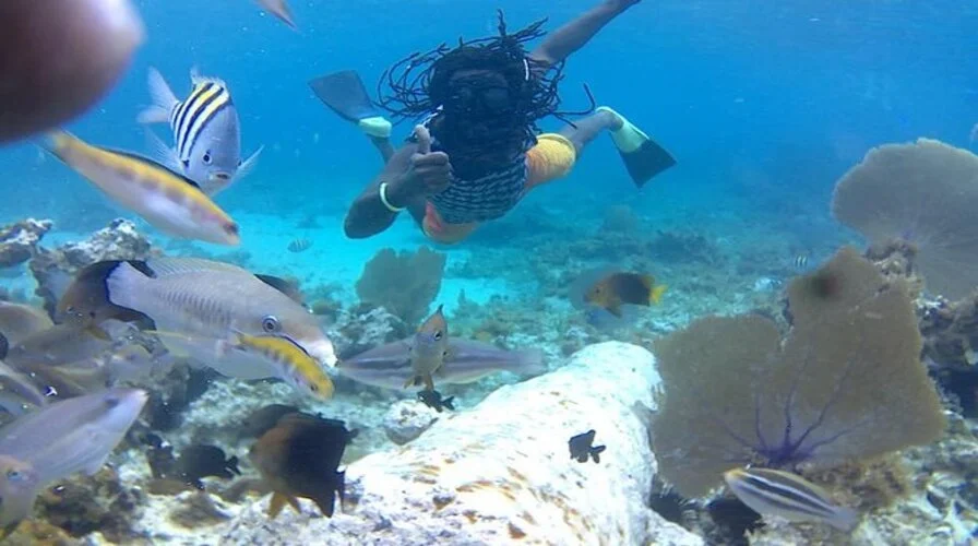 5. Take a Snorkeling or Diving Excursion to the Coral Reefs