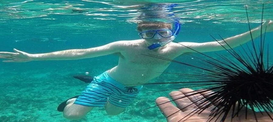 6. Go Snorkeling or Scuba Diving at Negril Marine Park