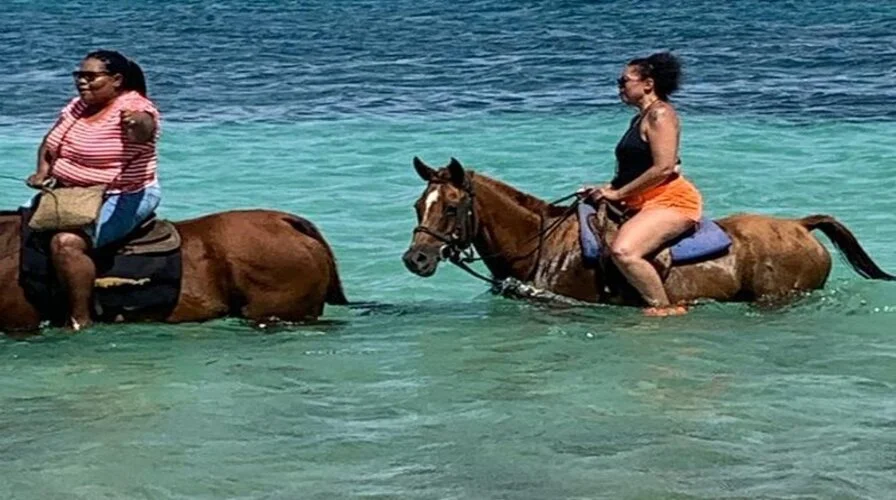 13. Experience Horseback Riding on Beaches or Trails