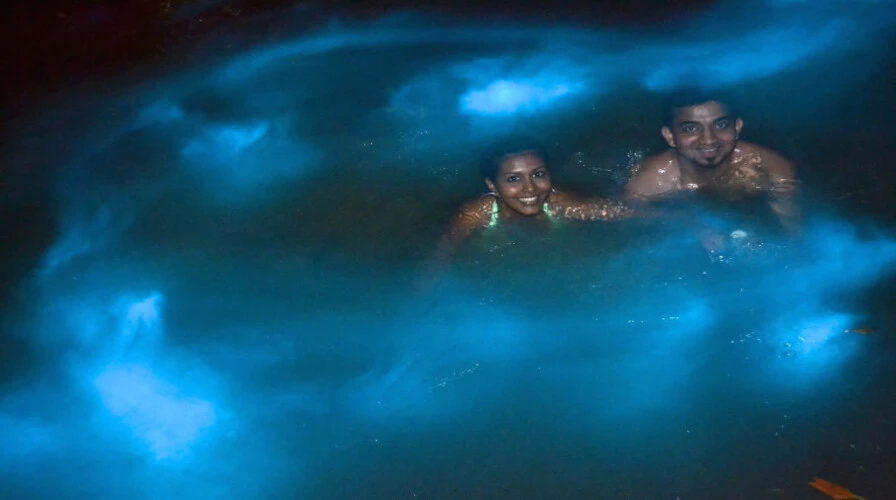 5. Go Night Snorkeling or Visit the Luminous Lagoon