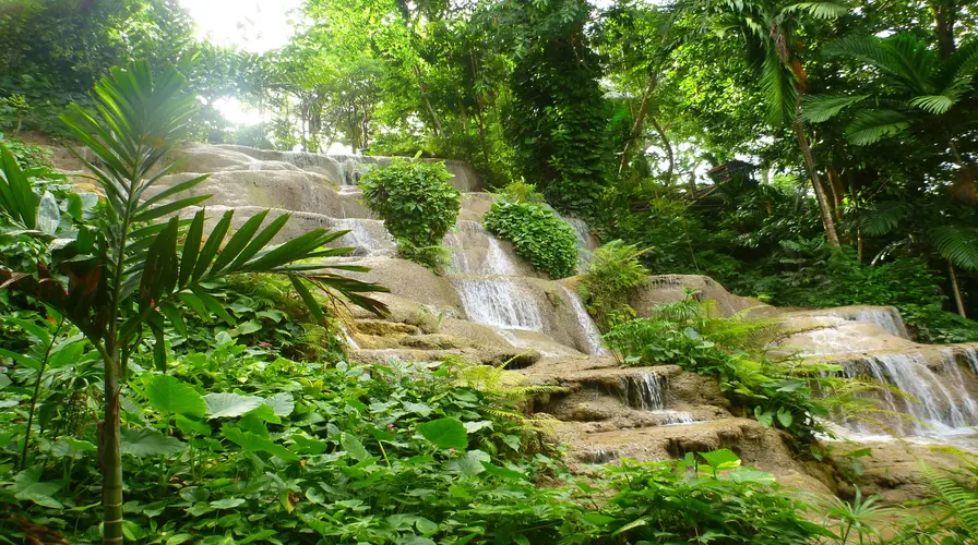 7. Visit Konoko Falls and Botanical Gardens