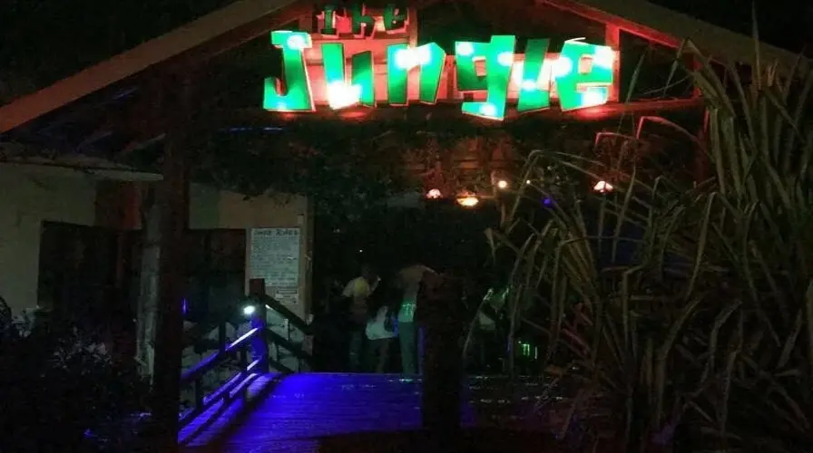 Festive and Nightlife Experiences - Things to Do in Jamaica in December