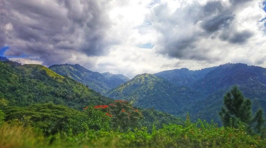 Adventure and Land Activities - Things to Do in Jamaica in January