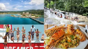 Jamaica Weather in February - Events & Top Things to Do for Your Pefect Trip